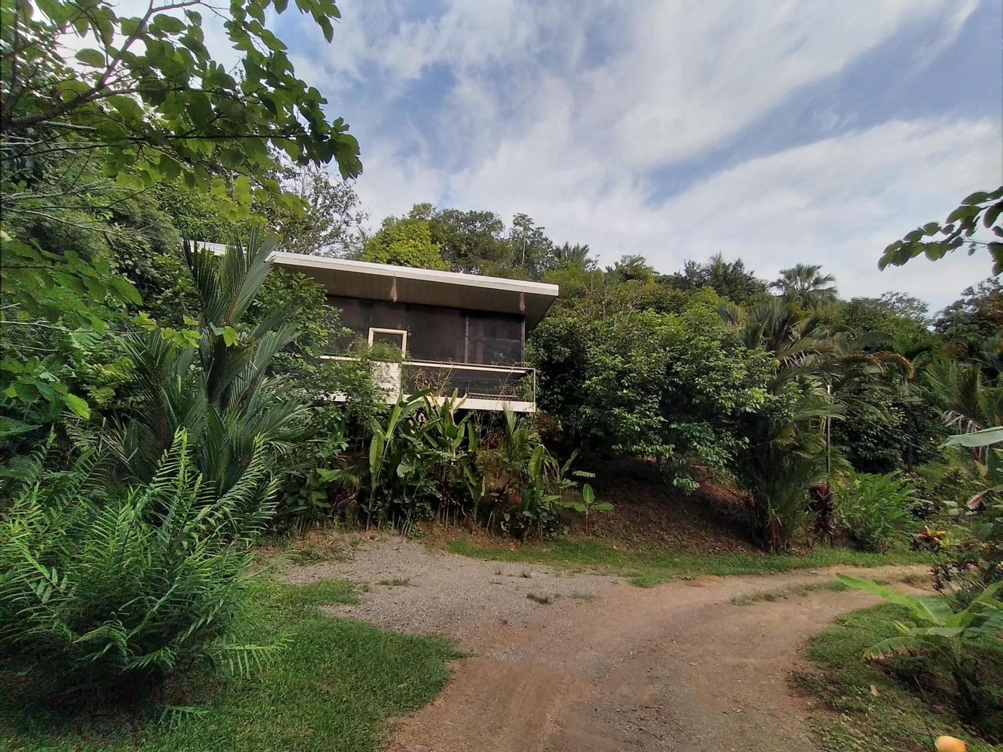 Cabinas Fave Uvita Rom bilde