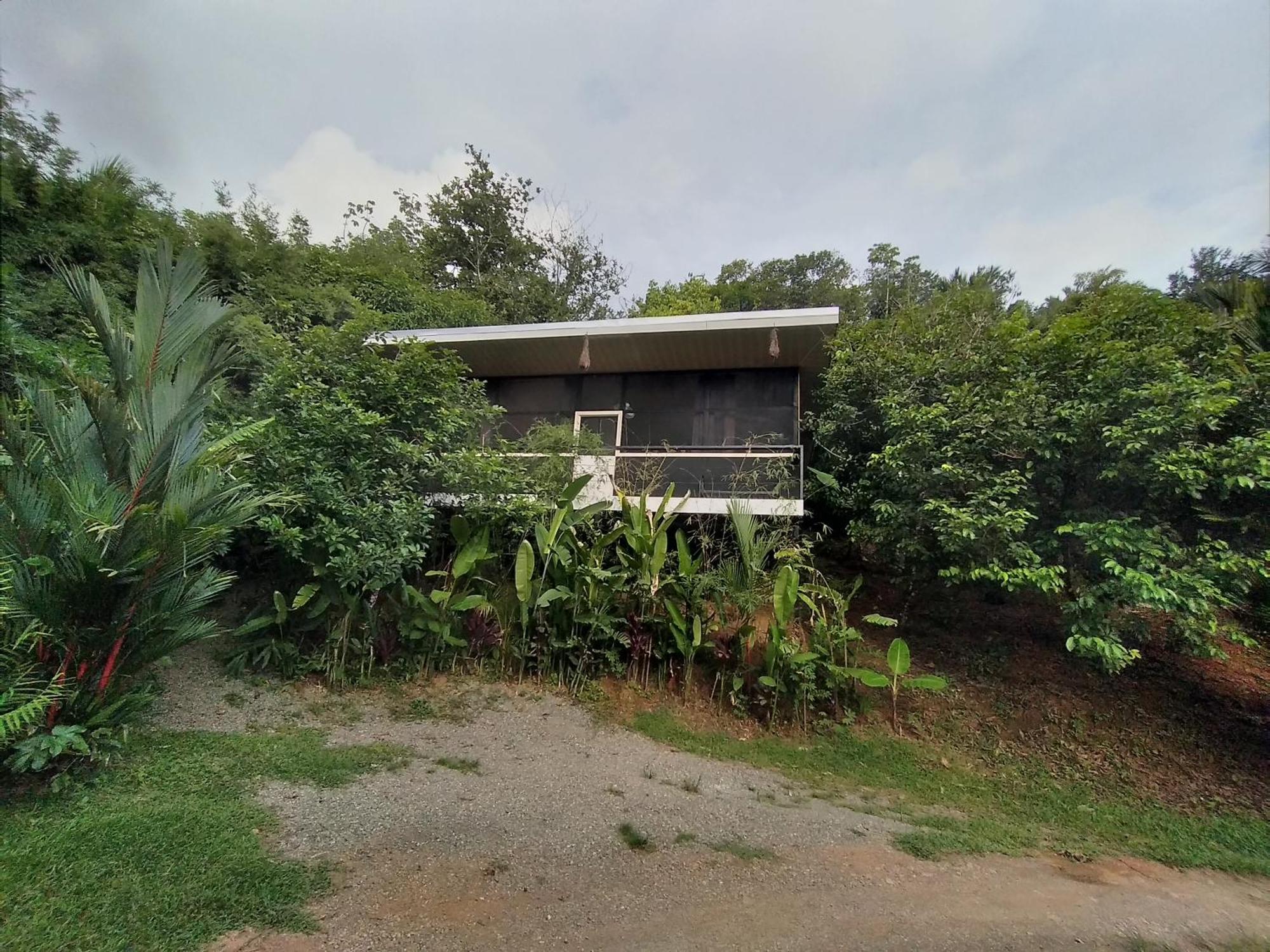 Cabinas Fave Uvita Rom bilde
